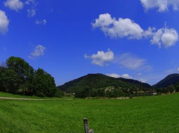 Tour Mountainbike Büssing - Bussang_20210717_101651 - Photo