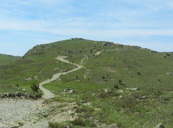 Tour Zu Fuß Genua - San Carlo di Cese - Punta Martin - Photo