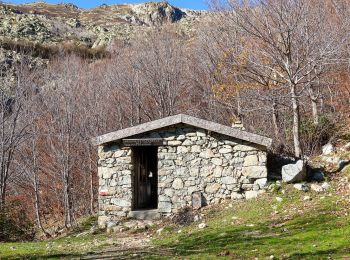 Excursión A pie Ghisoni - Monte Renoso - Photo