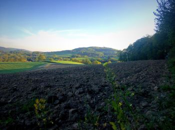 Excursión A pie Seeheim-Jugenheim - Ortsrundwanderweg Ober-Beerbach 2: Panorama Weg - Photo