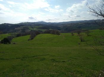 Tour Wandern Saint-Sylvestre - st sylvestre 2023 - Photo