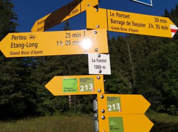 Tour Nordic Walking Ayent - 2 bisses  - Photo