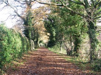 Tocht Te voet Norwich - Edith Cavell Pilgrimage - Photo