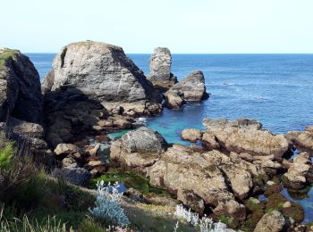 Trail Walking Sauzon - J2-Pointe des Poulains - Port Goulphar 20 km - Photo