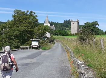 Tour Wandern Golinhac - Goslinac conques - Photo