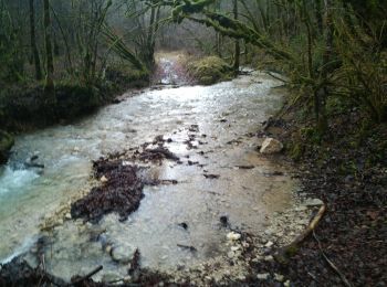 Trail Walking Ornans - Ornans - Cascades  Baume Bourla de la tuffière- Source Bleue 29 déc 2020 CAF - Photo