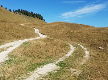 Tocht Stappen Autrans-Méaudre en Vercors - la Molière, COL de bellecombe - Photo