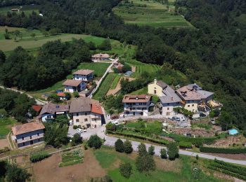 Percorso A piedi Civezzano - Sentiero delle Coste di Campel - Photo