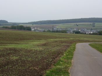 Randonnée A pied Veldenz - Jakob-Maria-Mierscheid-Weg - Photo