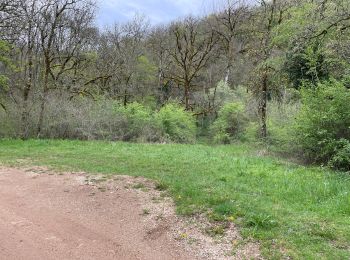 Tocht Stappen Le Vignon-en-Quercy - Muriel œil de la Doue - Photo