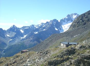 Tour Zu Fuß Chiesa in Valmalenco - Chiareggio-Passo del Muretto-Sentiero Rusca - Photo