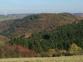 Randonnée A pied Langscheid - Wacholderweg - Photo