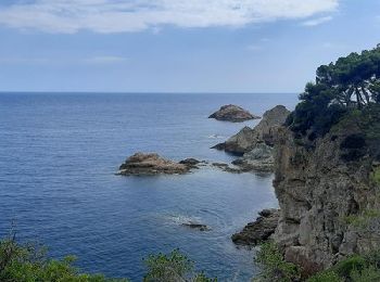 Tocht Stappen Tossa de Mar - Wikiloc - Tossa de Mar-Cala Bona-Tossa - Photo