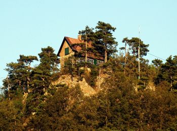 Excursión A pie Gemeinde Hohe Wand - Netting - Teichmühle - Stollhof - Photo