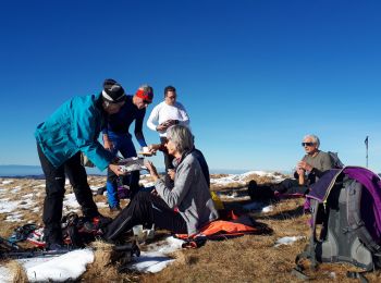 Tour Schneeschuhwandern Villard-de-Lans -  Le plateau du Cornafion en raquettes en circuit - Photo