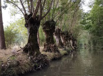 Tocht Kanoën - kajakken Arçais - coche Mathieu  - Photo