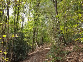 Randonnée Marche Trooz - Trooz - Blindef - Louveigné  - Photo