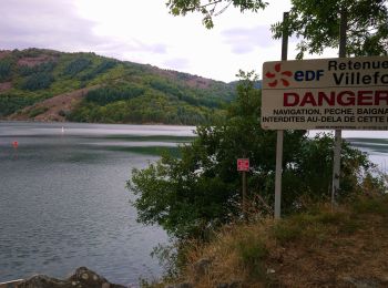 Excursión Senderismo Villefort - Tour du lac de villefort  - Photo