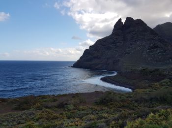 Tocht Trail San Cristóbal de La Laguna - Punta del Hidalgo - Chinamada - Punta del Hidalgo - Photo