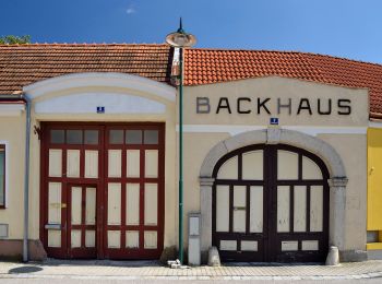 Tour Zu Fuß Gemeinde Berndorf - Veitsau - Aigen - Photo