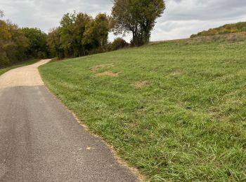 Excursión Senderismo Chaudenay-la-Ville - Chaudenay la ville  - Photo