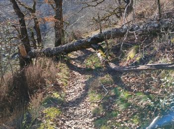 Trail Walking Lapeyrugue - La vallée du Goul - Photo