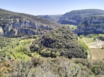 Tocht Stappen Vallon-Pont-d'Arc - 07_Pont_d'Arc_14km515 - Photo