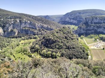 Excursión Senderismo Vallon-Pont-d'Arc - 07_Pont_d'Arc_14km515 - Photo