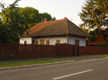 Tocht Te voet Covasna - Hotel Hefaistos - Poiana lui Cocorea - Photo