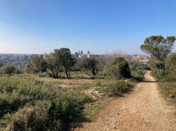 Tocht Stappen Uzès - Uzes - Photo