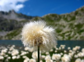 Excursión A pie Pinzolo - Sentiero dei cinque laghi - Photo