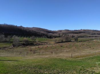 Excursión Senderismo Saint-Lattier - Voie médievale à St Lattier - Photo