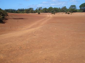 Tour Zu Fuß São Pedro - PR1SMA Costa Norte - Photo