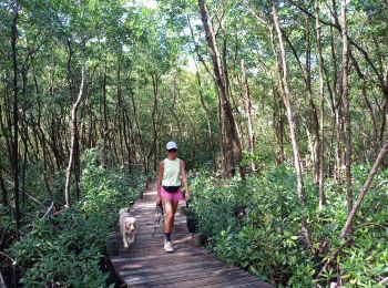 Tocht Stappen Port-Louis - Anse du Souffleur - Pointe d'Antigues - Photo