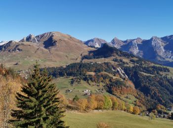 Trail Walking Le Grand-Bornand - Aiguille Verte de Chinaillon - Photo