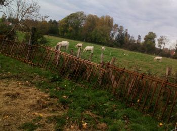 Percorso Marcia Waben - waben 27 10 2022 - Photo