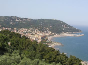 Trail On foot Cervo - Terre Alte (Andora - Colle di Cervo) - Photo