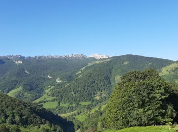 Randonnée Marche Osse-en-Aspe - Soum de Pirait - Photo