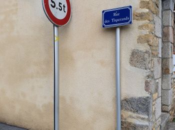 Randonnée Marche Écouves - OT les Haras de Radon à Damigny - Photo