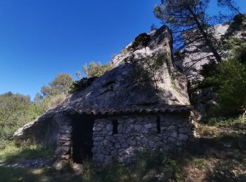 Randonnée Marche Roquefort-des-Corbières - Roquefort des Corbières Jean 17.04.22 - Photo