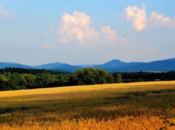 Tocht Te voet Płonina - (yellow) - Photo