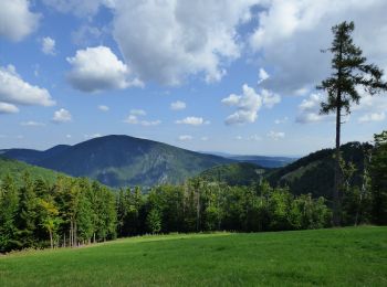 Randonnée A pied Gemeinde Waldegg - Dürnbacher Höhenweg - Photo