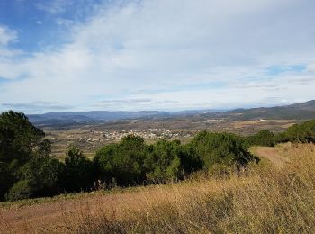 Excursión Senderismo Saint-Jean-de-la-Blaquière - Rocher des Vierges - Photo