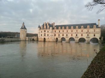 Randonnée Marche Chenonceaux - Chenonceaux - boucle Château GR41 - 10km 85m 2h00 - 2014 12 29 - Photo