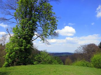 Randonnée A pied Lautertal - Rundwanderweg Lautertal Kuralpe 7: Felsberg-Weg - Photo