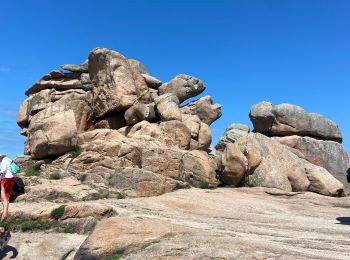 Trail Walking Perros-Guirec - Ploumanach côté granite rose  - Photo