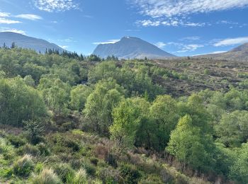 Tour sport  - Ben Nevis face Nord - Photo