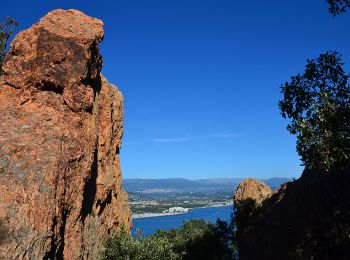 Randonnée Marche Théoule-sur-Mer - Miramar - ND d'Afrique - Photo