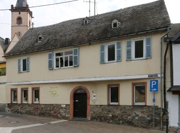 Tour Zu Fuß Kaub - Naturfreundeweg - Photo