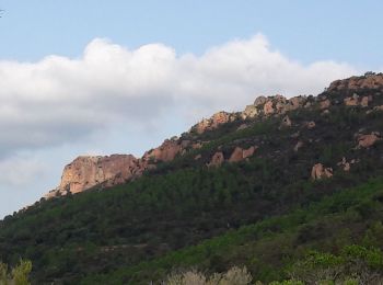 Tocht Stappen Saint-Raphaël - Agay - Sainte-Barbe - Étang des Nénuphares - Photo